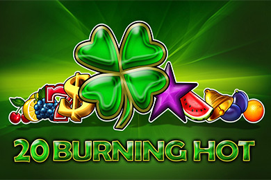 Egt Provide 20 Bh Рокетман Казино играть